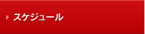 スケジュール
