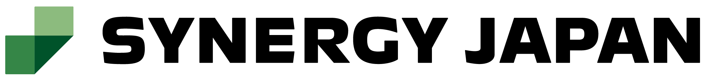 SYNERGYJAPAN