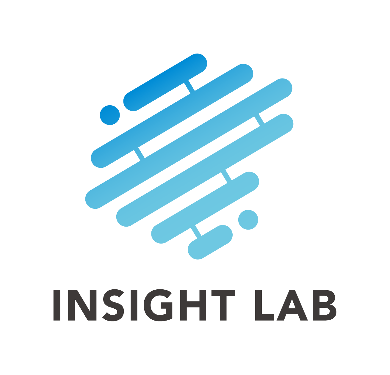 INSIGHT LAB